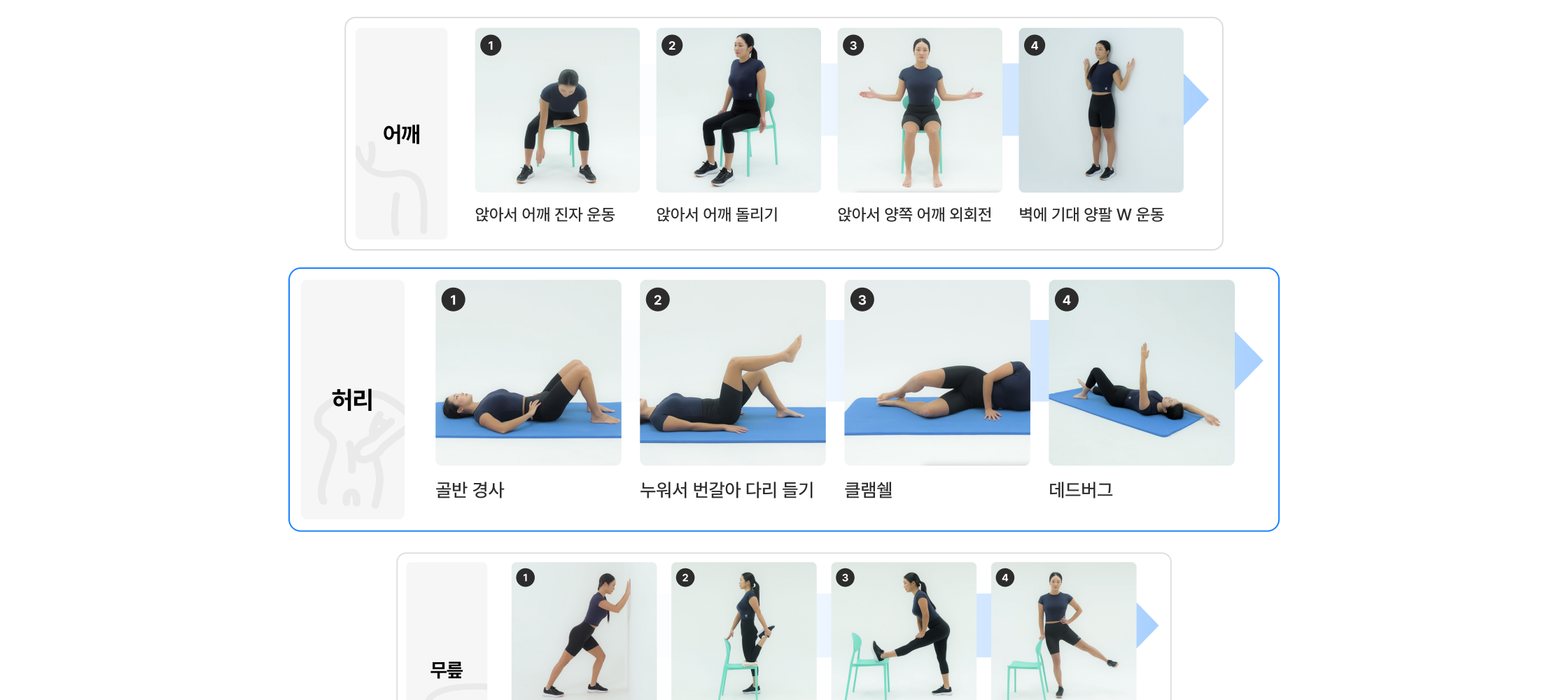운동 프로그램 예시